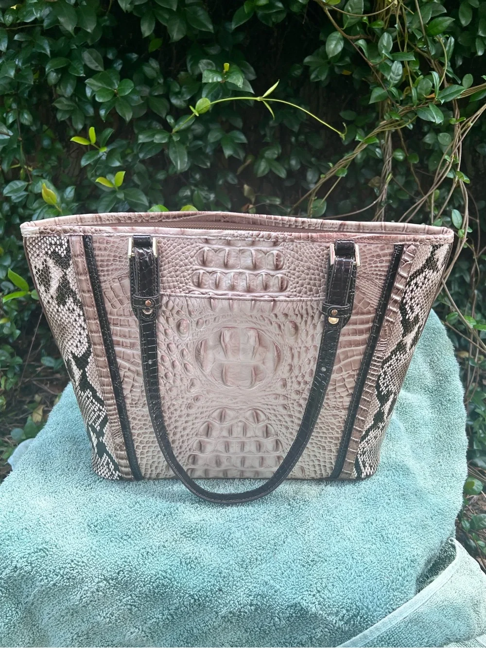 Brahmin medium Asher Alabaster Fontaine